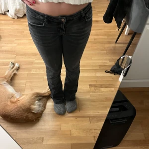 Svarta jeansbyxor med normal passform - Säljer ett par svarta bootcut jeansbyxor med normal passform och klassisk femficksdesign. Byxorna har knapp och dragkedja framtill. Perfekta till vardags och lätta att matcha med olika toppar. Lite slitage längst ner på benen