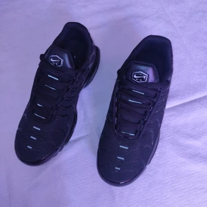  Nike Air Max Plus TN  - helt nytt , Pris diskuteras inte