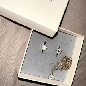 Smycken Lily & rose  - Ett jättefint smyckes set från Lily & Rose! Köpt för ca 1000:- 🫧 Jättefint skick och använd fåtal gånger 💎