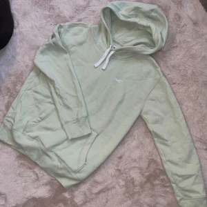 Ljusgrön hoodie från Hollister - Säljer en ljusgrön hoodie från Hollister med en klassisk känguruficka och justerbar huva. Den har en liten logotyp på bröstet och är perfekt för en avslappnad stil. Passar bra till både jeans och mjukisbyxor.