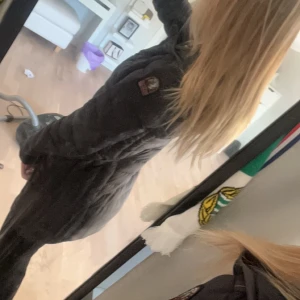 Parajumper jacka  - En jättefin parajumper i den långa modellen! Den är välanvänd men ändå i bra skick, den är i storlek xxs och passar mig som är 163. Hör av er vid intresse☺️ord pris 5000