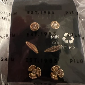 Örhängeset från Pilgrim - Säljer ett set med tre par örhängen från Pilgrim. De är i guldton och har olika designer: ett par med glittriga runda stenar, ett par med avlånga blad och ett par med blommor. Perfekt för att mixa och matcha till olika outfits!  Produktvärde 349kr