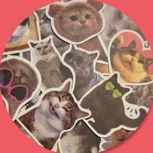 25 Söta Katt Stickers 🐈‍⬛ - 25 st Söta Katt 🐈‍⬛ Stickers/klistermärken med mått: 5-8 cm. ✨️Titta igenom alla mina upplagda & köp fler saker i Bundle för att spara på frakten & få allt du köpt i ett & samma paket✨️ För att köpa med Bundle så får du först trycka i "Köp med bundle" sedan väljer du ut allt du vill köpa för att få allt på samma frakt = Billigare 👌 Om du däremot köper fler varor i olika köp blir det egen frakt för varje köp. Önskar du swisha mej, meddela mej vad du vill köpa så ordnar vi det 👌