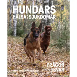 Hur ofta måste man vaccinera hundar? Kan man ha både hund och katt i ett hushåll? Måste man verkligen ha byxor på sin tik när hon löper? Är det sant att hundar kan få träningsvärk i svansen av att simma? Ingen fråga är för stor eller för liten för att platsa i Hundars hälsa och sjukdomar. Här finns ett urval av intressanta frågor från hussar och mattar, insamlade under åratal av veterinärarbete. Ungefär hälften av materialet handlar om vanliga sjukdomar och krämpor. Den andra hälften behandlar olika aspekter på den friska hunden. För att känna igen det onormala måste man vara väl bekant med det normala, och en observant hundägare är hundens bästa vän och kan vara en viktig medhjälpare åt veterinären. Hör du till dem som drömmer om att ta en kull valpar efter din tik? Det finns många regler att ta hänsyn till innan man parar den, och det är mycket som kan gå på tok. Här får du hjälp och råd om parning, förlossning och mycket mer.    Format Inbunden   Omfång 104 sidor   Språk Svenska   Förlag Ica Bokförlag   Utgivningsdatum 2011-09-07   Medverkande Linda Andersson   Medverkande Berit Wallin-Håkansson   Medverkande Birgitta Weigl   ISBN 9789153434702  