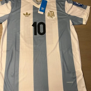 Randig fotbollströja från Adidas - Snygg fotbollströja från Adidas med klassiska blå och vita ränder. Tröjan har nummer 10 och ett emblem på bröstet. Kortärmad design med AEROREADY-material för optimal komfort. Perfekt för fotbollsfans!