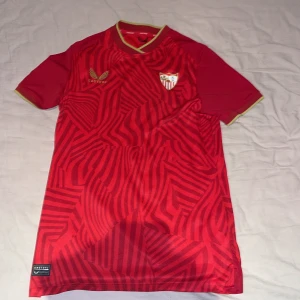Röd sevilla tröja från Castore - Snygg röd fotbollströja från Castore med ett unikt mönster och klubbmärke på bröstet. Tröjan har korta ärmar och guldfärgade detaljer vid kragen. Perfekt för fotbollsfans som vill visa sitt stöd för laget i La Liga.