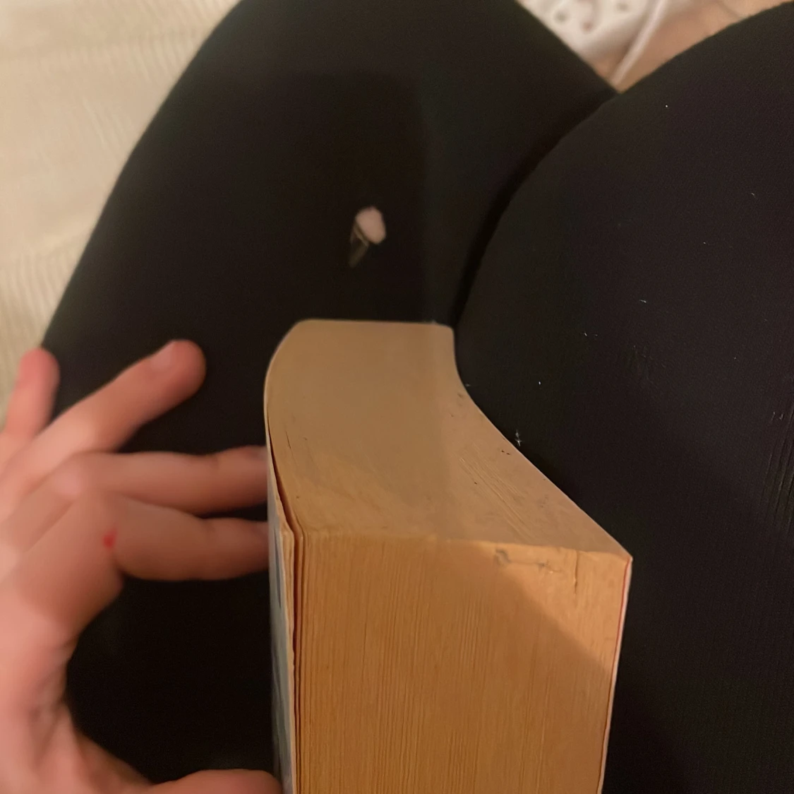 Stridens skönhet och sorg bok - 2