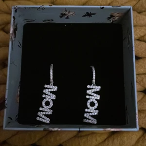 Glittriga örhängen från Ioaku - Snygga örhängen från Ioaku med texten 'WOW' i glittrande silver. Perfekta för att ge en extra touch till din outfit. Kommer i en elegant förpackning. Enbart använda två gånger! Örhängena är köpta för 500kr. Örhängena decificeras innan de postas! 