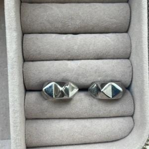 Edblad örhängen  - Säljer dessa jätte fina örhängen från Edblad💗💗 säljer dessa pga dom kommer inte till användning längre 