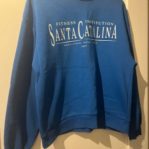 Blå sweatshirt med tryck - Säljer en blå sweatshirt som är i nyskick och har inga fläckar eller liknande på sig. 
