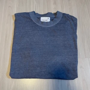 Blå oversized t-shirt från Vaillent - Den har storlek M men passar som L. Snygg blå t-shirt från Vaillent i en klassisk design. Perfekt för en avslappnad stil. T-shirten har en rund hals och korta ärmar, vilket gör den idealisk för varmare dagar. 