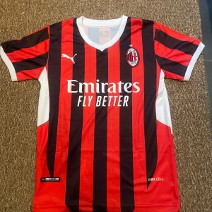 AC Milan fotbollströja från Puma - Snygg AC Milan fotbollströja från Puma med klassiska röda och svarta ränder. Tröjan har korta ärmar och vit V-ringning. Den är prydd med klubbens emblem och sponsorlogga på framsidan. Perfekt för dig dom vill ha en skön fotbollströja!                                                     Storlek M, passar mer som S