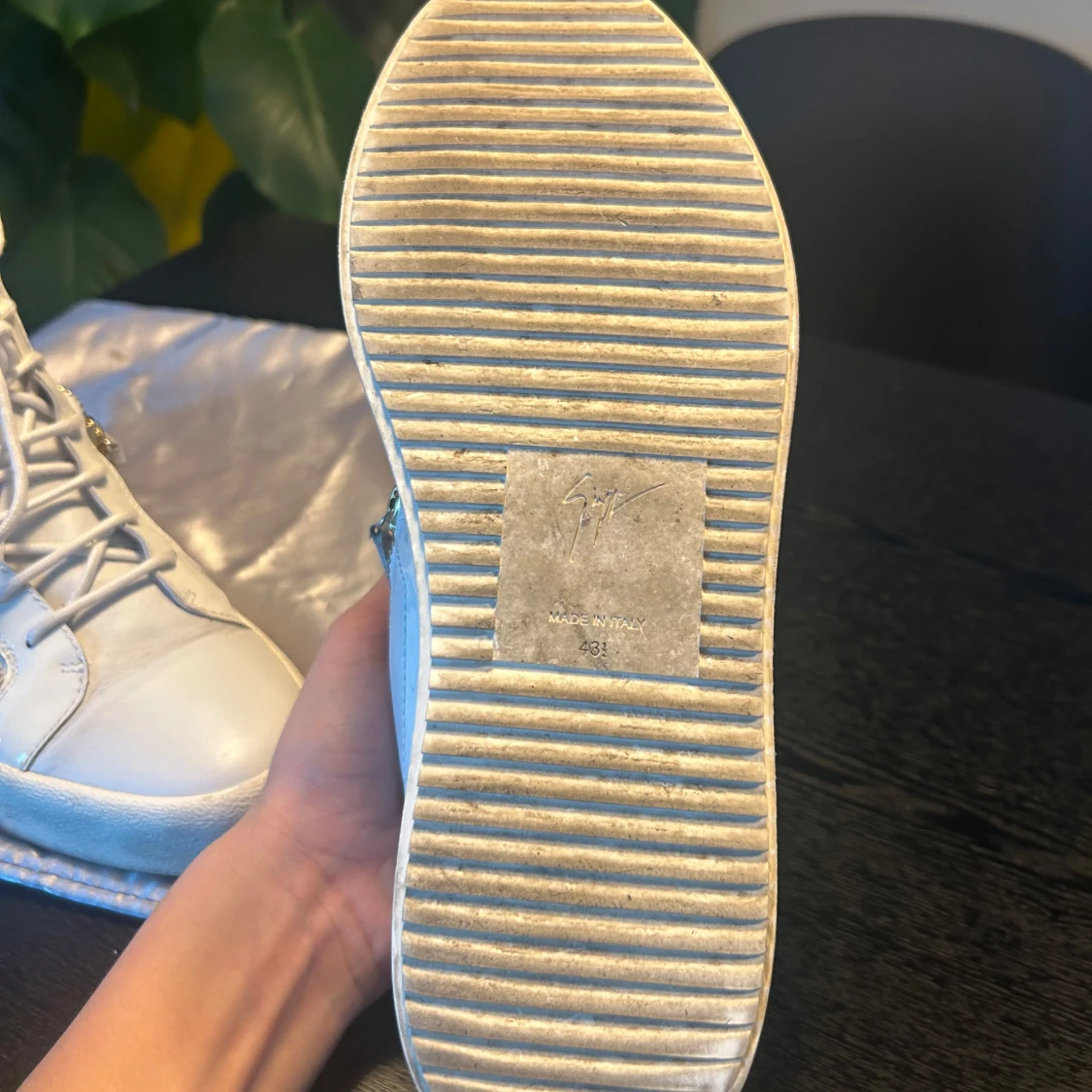 Vita Giuseppe Zannotis  - 2