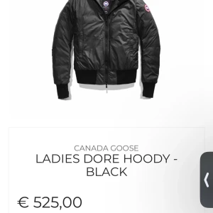 Canada goose - Ihan hyvässä kunnossa. Käytetty pari vuotta joten kulumaa silti voi havaita.