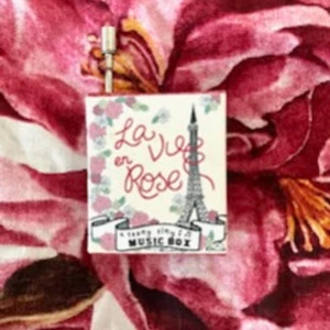 Musikspelare - En liten musikspelare som jag köpte på min resa i paris nästan helt ny