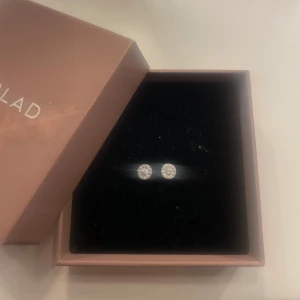 Edblad örhängen  - Silver örhängen från Edblad, tyvär kommer dom inte till användning då jag använder guld men anars superfina,☺️