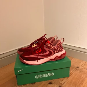 Giannis basketskor - Helt oanvända giannis antentokoumpo basketskor 