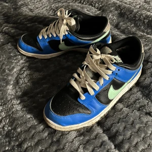 Nike dunks - Hej, säljer nu mina skor då de tyvärr blivit för små för mig. Skorna har bara använts ett fåtal gånger och är i väldigt bra skick. Storlek 38.