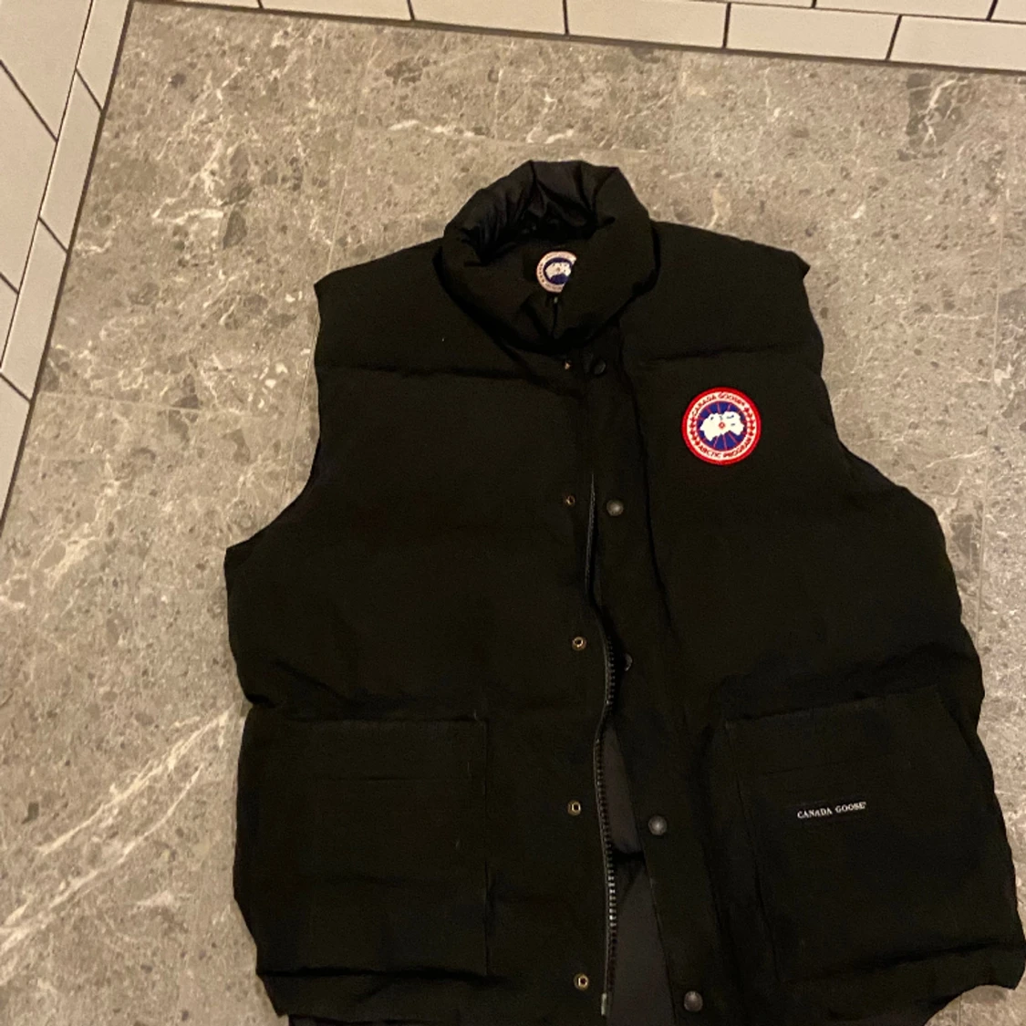 Canada goose - 90