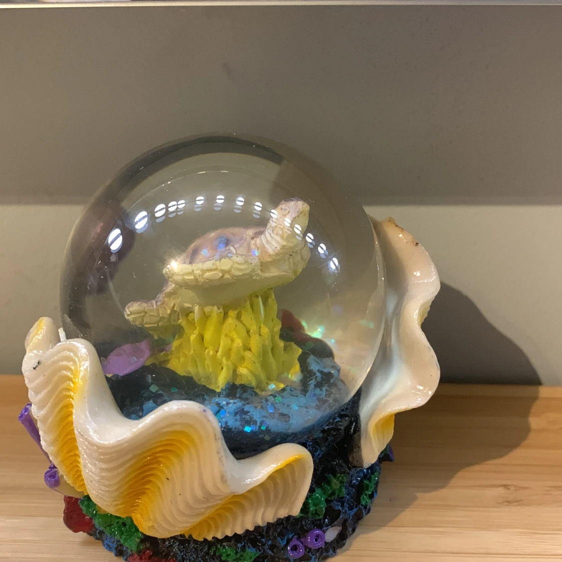 Snöboll med en sköldpadda i