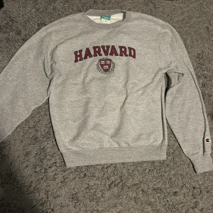 Vintage champion sweatshirt storlek S - En vintage sweatshirt i bra kvalitet, storlek S. 