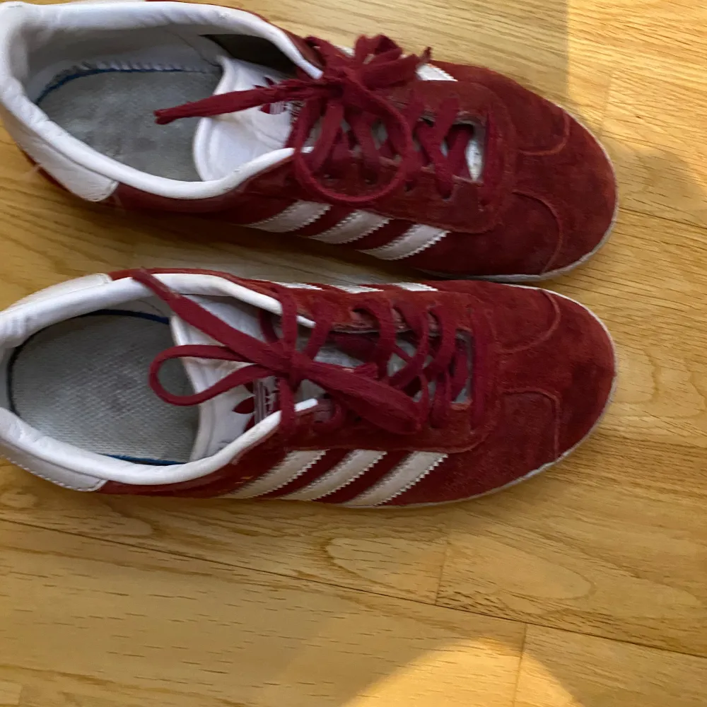 Jätte fina adidas gazelles i storlek 36.5 som tyvärr är för små för mig.. Skor.