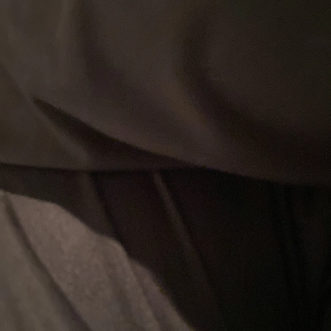 Adidas tröjan