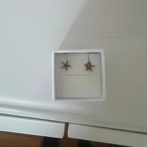 Guld örhängen  - Guld örhängen från Syster P, helt oanvända