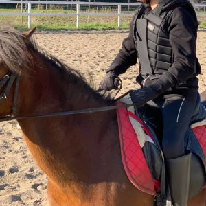 Skyddsväst - Ridväst - Nyskick, väldigt lite använd! Storlek M/12 Är säkerhetsgodkänd enligt hööks hemsida! Nypris 999kr Separata paneler för bästa komfort och rörelse. Justerbar med kardborre vid axlar samt snörning i sidorna. En mycket prisvärd och populär säkerhetsväst.