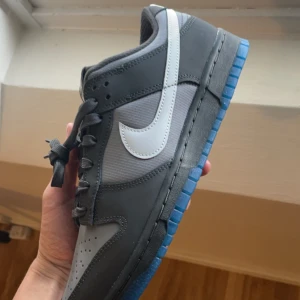 Nike Dunk Low Anthracite - Säljer ett par Dunk lows har aldrig använt endast provade inomhus, men de var lite för små för mig, är storlek 42,5 på de.  Skriv om ni har nån fråga
