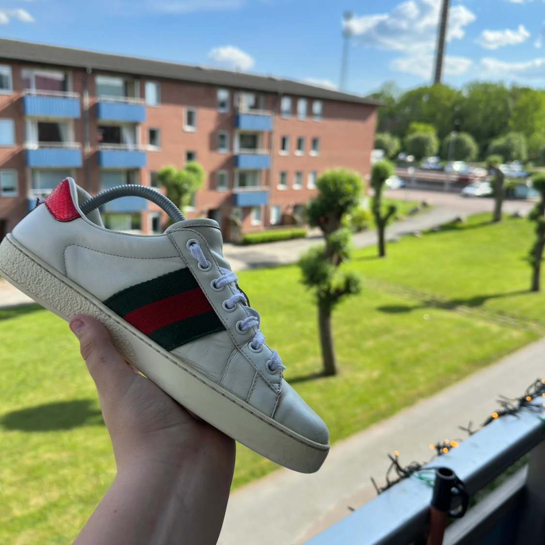 Gucci ace  - 91