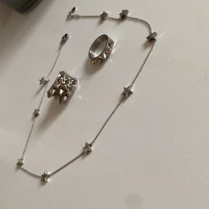 Edblad smycken  - ringarna strlk S  köp allt för 400  halsbandet separat: 150  den ”tunna” nitringen: 150 den tjocka nitringen: 200