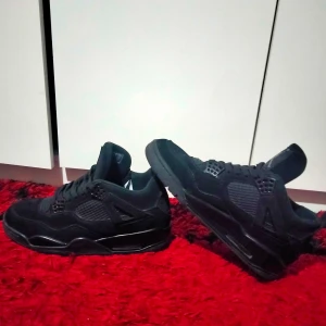 Svarta Jordan 4 - Svarta Jorden 4. Nypris 4045 kr. Black cats. Använda lite, men är helt rena. Inga skador, bra kvalitet och väldigt bekväma! 