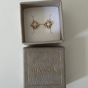 Bianca X Guldfynd örhängen - Bianca Ingrossos samarbete med Guldfynd. Använt 1 gång så är i fint skick.