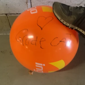 Fotboll  - En boll signerad av gidde cat skriv för mer info ✨