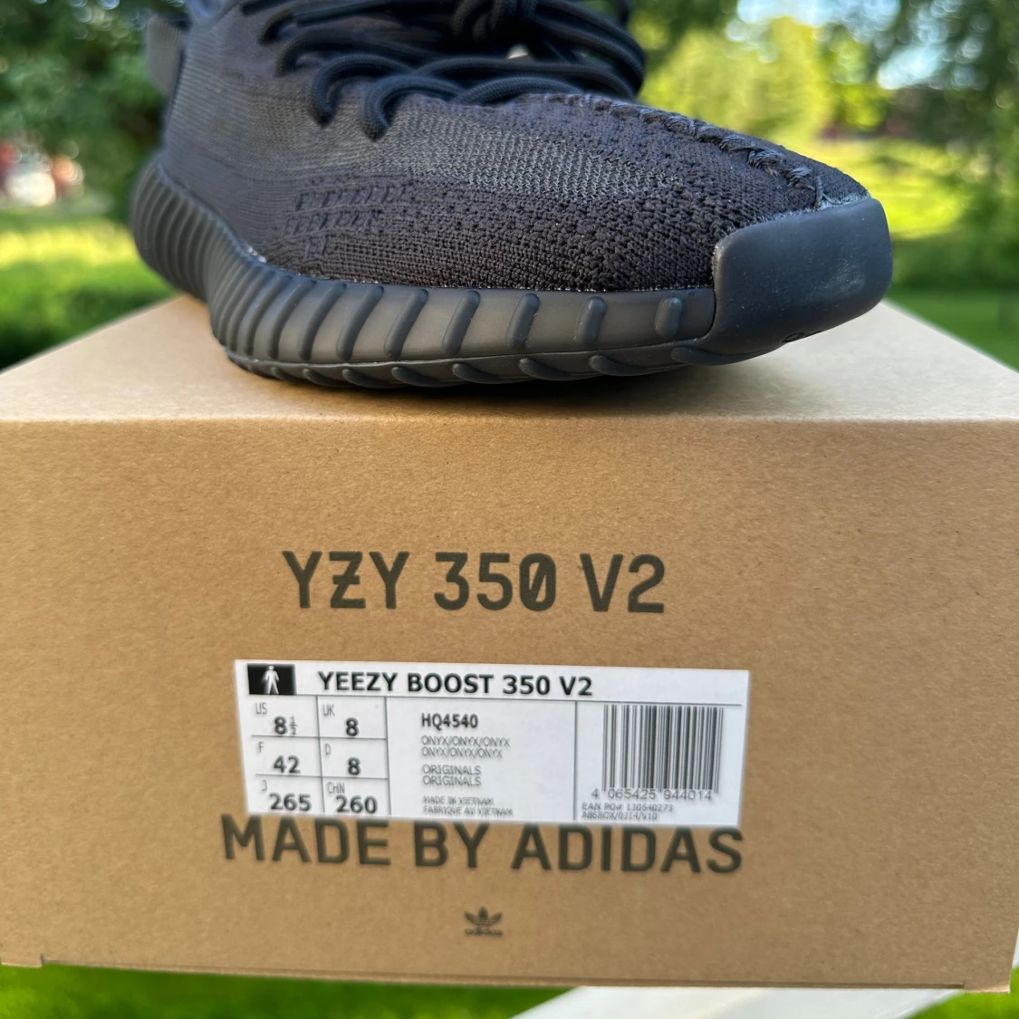 Yeezy Boost 350 Onyx V2 - 91