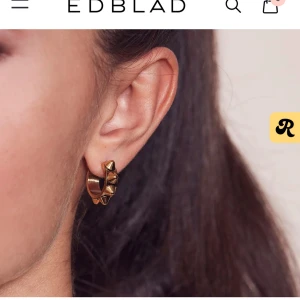 Edblad örhängen  - Säljer dessa fina örhängen från edblad då de tyvärr inte kommer till användning längre💗