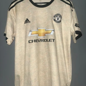 United ”Wan-Bissaka” 19/20 - Säljer en fin Manchester United tröja med Wan-Bissaka på ryggen. Tröjan är i fint skick och är i storlek L. Priset är inte skrivet i STEN!