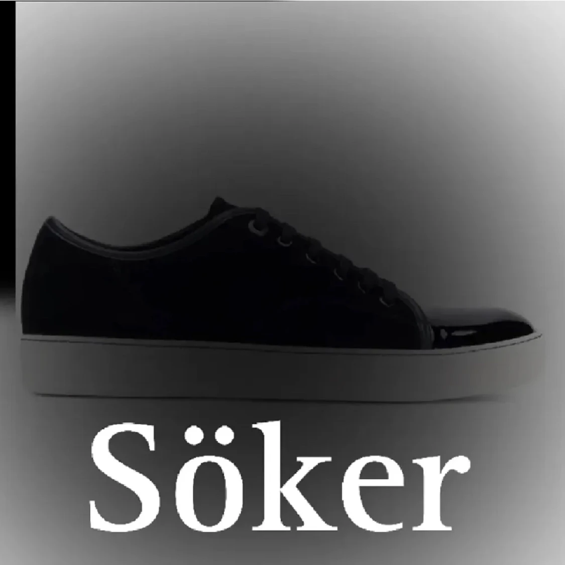 Söker lanvin