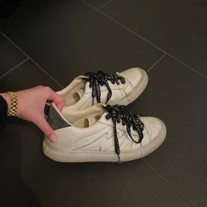 Zadig skor - Super fina zadig & voltaire skor som är slutsålda! Det är använda och har defekter. Främst längst fram på skon, kolla bild 3! 