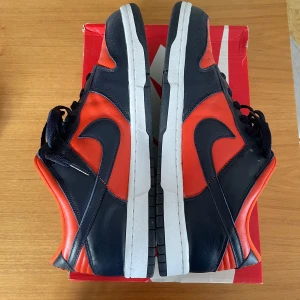 Dunks champs colour - Skorna har använts en gång och är i väldigt bra skick, köpta på soleplus