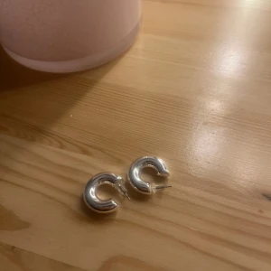 Öronhänge  - Jätte fina öronhängen från Snö of sweden, aldrig andvända endast testade. Nypris 299 kr💗