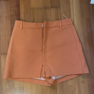 Shorts - Helt nya shorts från Zara! Storlek S