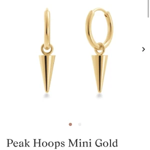 Edblad peak mini hoops gold - Säljer dessa fina örhängen från edblad. Allt är guldpläterat, aldrig använd.  Skriv privat för fler bilder🙏🏼📥