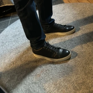 Lanvins - Ett par riktigt trendiga skor, bra skick storlek 9us 42 eu priset är diskuterbart, har inte box elr dustbag 