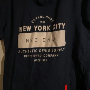 T-shirt med tryck - T-shirt köpt secondhand för några år sedan, använd men inga skador förutom lite rynkig.