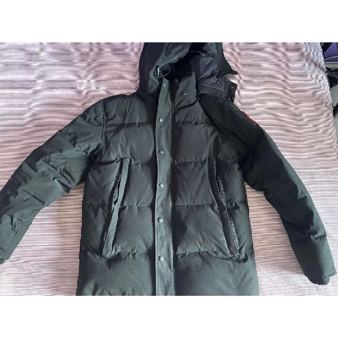 Canada goose wyndham - 91