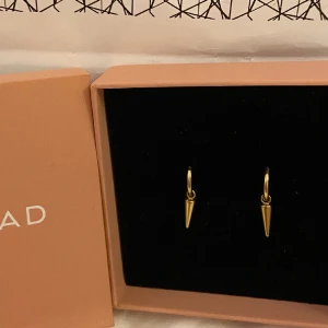 Edblad örhängen! - Säljer dessa Edblad örhängen som nästan är OANVÄNDA I NYSKICK🌟💫supersöta! 