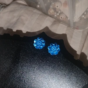 Örhänge  - Oanvänd örhänge. Färgen ser lite starkare i bilden och är lite ljusare i verklighet. Säljer mest nya smycken för jag har ett uf företag och försöker få in pengar. Baksidan är plast.