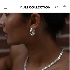 Öronhängen silver - Säljer dessa superfina öronhängen från muli collection, råkade beställa silver istället för guld så de är aldrig använda men tyvärr försent att skicka tillbaka.. de kostar 500 nypris, säljer för 450🩷